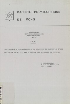 Contribution à l'orientation de la politique de prévention d'une entreprise (S.N.C.B.) par l'analyse des accidents de travail. Formation des chefs de service de sécurité et de leurs adjpoints (S.H.E.). T.F.E.
